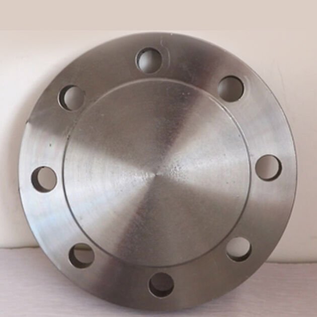 JIS B2220 Flanges Manufacturer & Supplier in India